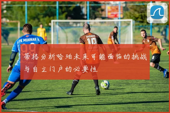 蒂格分析哈珀未来可能面临的挑战与自立门户的必要性